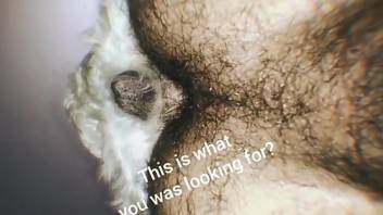 Dude's hairy asshole gets banged from behind