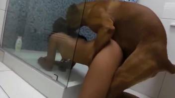 Fine broad takes whole dog cock under the shower