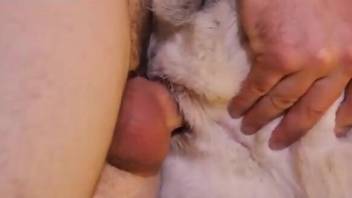 Guy punishes his submissive animal with that BIG dick