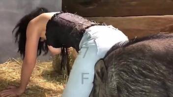 Raven-haired lady getting screwed by ALL kinds of animals