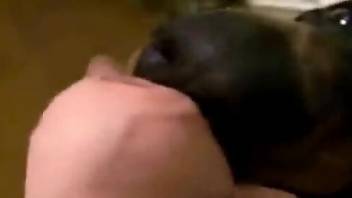 Dude enjoys a nice round of oral with a sexy puppy