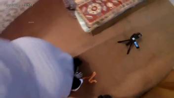 Inked dark-haired woman screws a canine while onlookers watch
