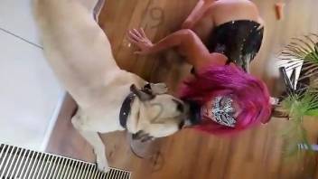 Pink wig hottie sucks on a dog's dick nicely