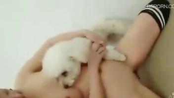 Awesome white dog licking her pussy thoroughly