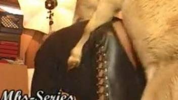 Stunning wife in leather pants gets fucked by big animal