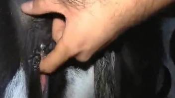 Dude uses his massive cock to bang a twisted animal