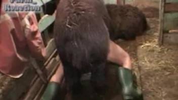 Filthy animal fucks a tight human pussy in the barn
