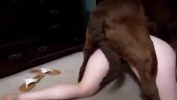 Phat booty brunette getting screwed by a brown dog