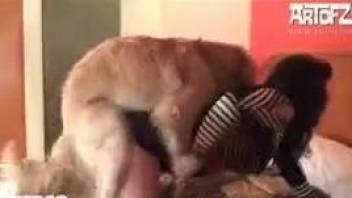 Furry dog humps woman in the pussy and she loves it