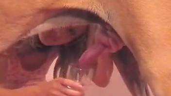 Classy lady wants this dog to cum in her glass