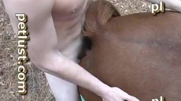 Fellow shoves his fist and erect penis into horse's vagina