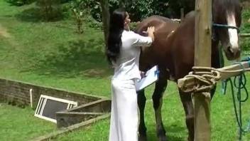 Tanned Latina bends over to get fucked by a kinky horse