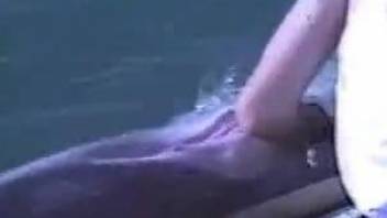 Guy calls dolphin and gently caresses body with his hand