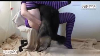 Babe in striped socks getting fucked by a dog
