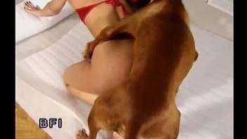 Blondie leaves the dog to deep fuck her moist pussy