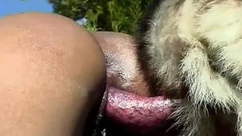 Curly-haired Latina happily fucks a dog outdoors