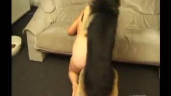Sexy blonde wife lets the dog lick her and penetrate her moist vagina